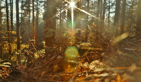 Collaborating with Indigenous Communities to Address Climate Change