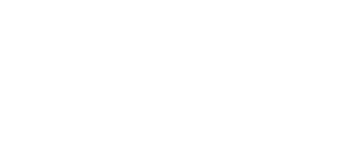 Logo 40 anos Enap